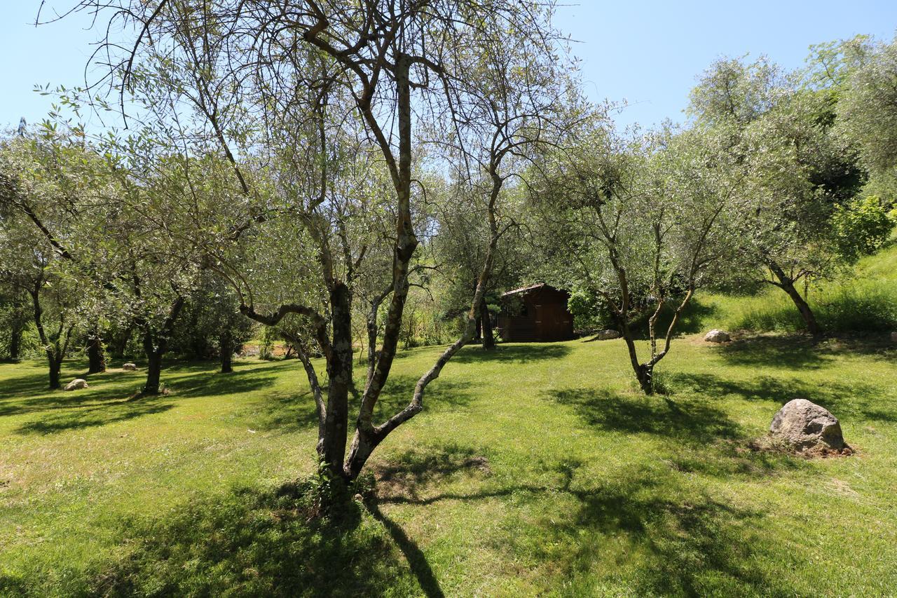 Bed and Breakfast La Cascata Negli Ulivi Тосколано-Мадерно Экстерьер фото